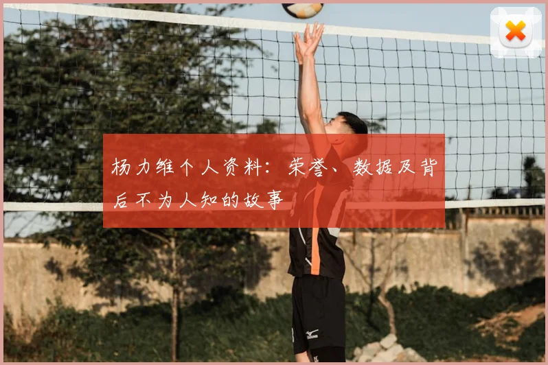 杨力维个人资料：荣誉、数据及背后不为人知的故事