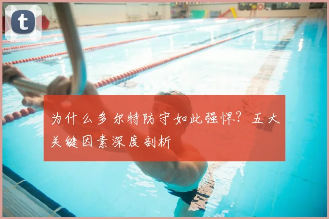 为什么多尔特防守如此强悍？五大关键因素深度剖析