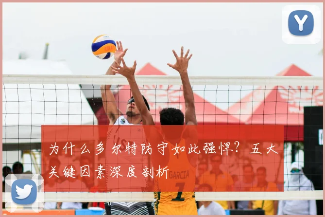 为什么多尔特防守如此强悍？五大关键因素深度剖析