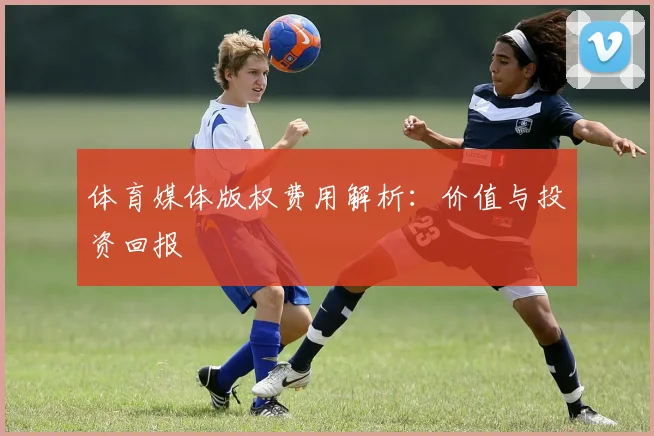 体育媒体版权费用解析：价值与投资回报